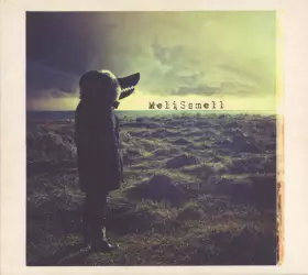 Couverture du produit · Droit Dans La Gueule Du Loup