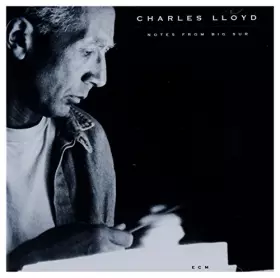 Couverture du produit · Notes from Big sur [Import]