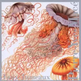 Couverture du produit · Faux-Jumeaux