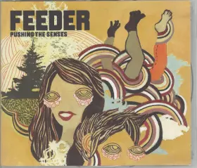 Couverture du produit · Pushing The Senses