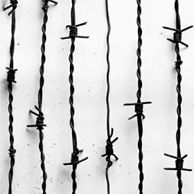 Couverture du produit · Lang Lebe der Tod [Import]