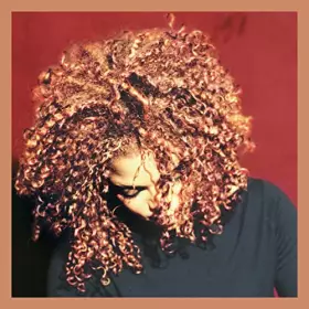 Couverture du produit · The Velvet Rope
