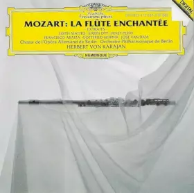 Couverture du produit · Magic Flute-Hlts