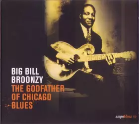 Couverture du produit · The Godfather Of Chicago Blues