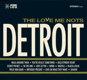 Couverture du produit · Detroit