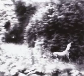 Couverture du produit · Ghost Days