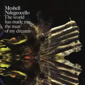 Couverture du produit · The World Has Made Me The Man Of My Dreams by Meshell Ndegeocello (2007-09-25)
