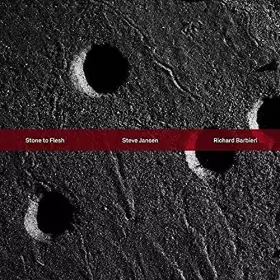 Couverture du produit · Stone to Flesh