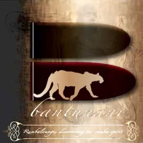Couverture du produit · Rumbalounge, Discovering The Nu-Rumba
