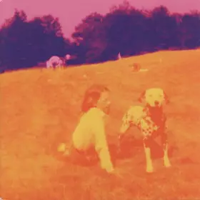 Couverture du produit · Blinking Lights And Other Revelations