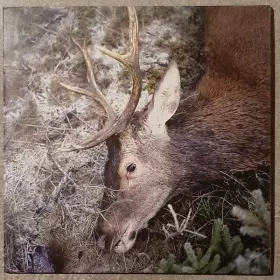 Couverture du produit · Plan Your Escape