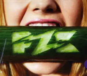 Couverture du produit · Pzk