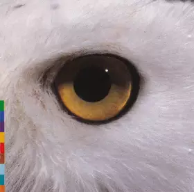 Couverture du produit · Gula Gula