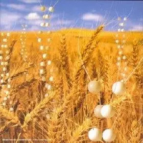 Couverture du produit · Genetic World