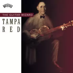 Couverture du produit · The Guitar Wizard