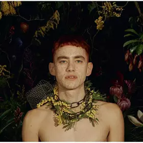 Couverture du produit · Palo Santo