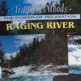 Couverture du produit · Tranquil Moods - The Power Of Relaxation - Raging River