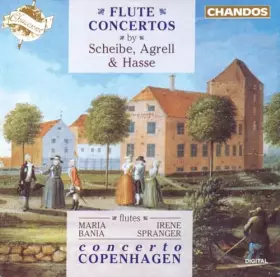 Couverture du produit · Flute Concertos [Import]