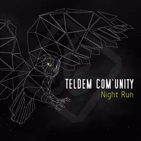 Teldem Com'Unity Night Run