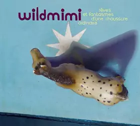 Couverture du produit · Reves et fantasmes d'une chaussure ordinaire