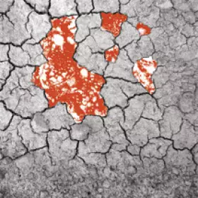 Couverture du produit · Certainty Of Swarms