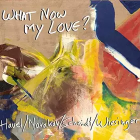 Couverture du produit · What Now My Love [Import]