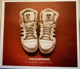 Couverture du produit · Meandering
