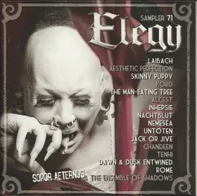 Couverture du produit · Elegy Sampler 71
