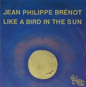 Couverture du produit · Like A Bird In The Sun