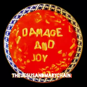 Couverture du produit · Damage and Joy