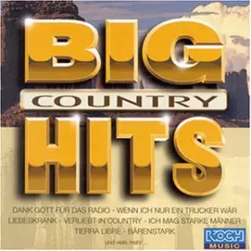 Couverture du produit · Big Hits Country [Import]