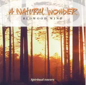 Couverture du produit · Redwood Wind: Spiritual Towers (UK Import)