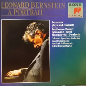 Couverture du produit · A Portrait