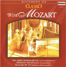 Couverture du produit · Eine Kleine Nachtmusik, Türkischer Marsch, Serenade KV 375