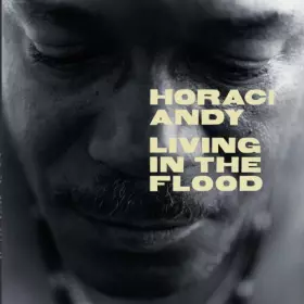 Couverture du produit · Living In The Flood