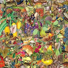 Couverture du produit · Destination Qualite [Import]