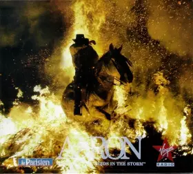 Couverture du produit · Birds In The Storm