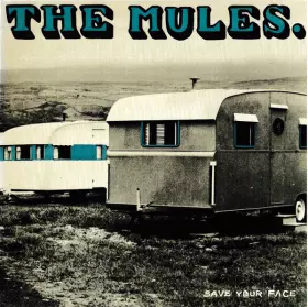 Couverture du produit · Save Your Face