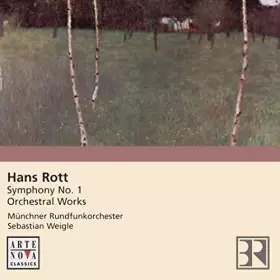 Couverture du produit · Symphony No.1/Orchestral [Import]