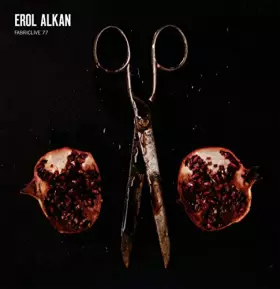 Couverture du produit · Fabriclive 77: Erol Alkan