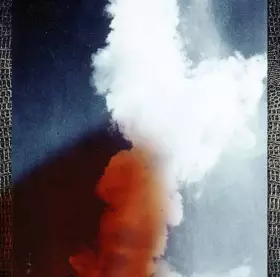 Couverture du produit · Bunny [Import]