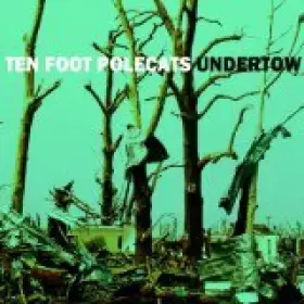 Couverture du produit · Undertow