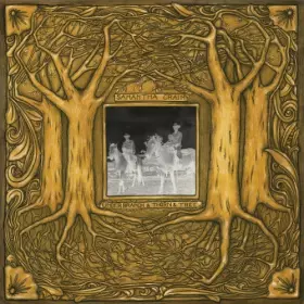 Couverture du produit · Under Branch & Thorn & Tree