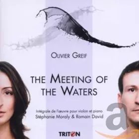 Couverture du produit · The Meeting Of The Waters