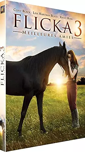 Couverture du produit · Flicka 3 : Meilleures amies