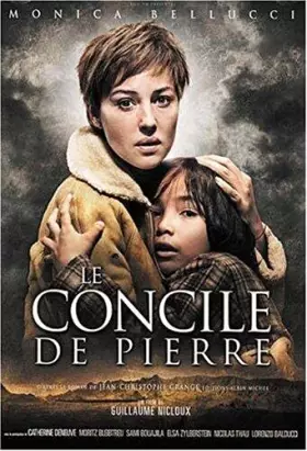 Couverture du produit · Le concile de pierre