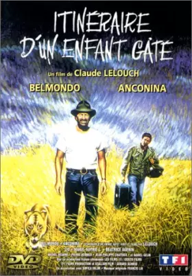 Couverture du produit · Itinéraire d'un enfant gâté