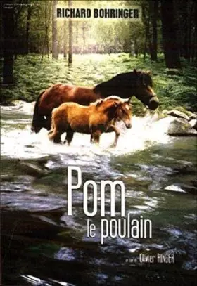 Couverture du produit · Pom, Le Poulain