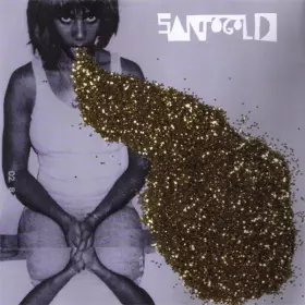 Couverture du produit · Santogold