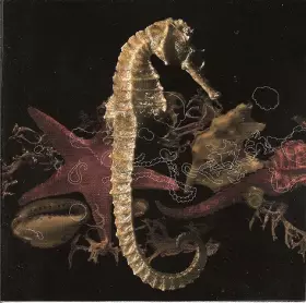 Couverture du produit · De Retour Dans Nos Criques